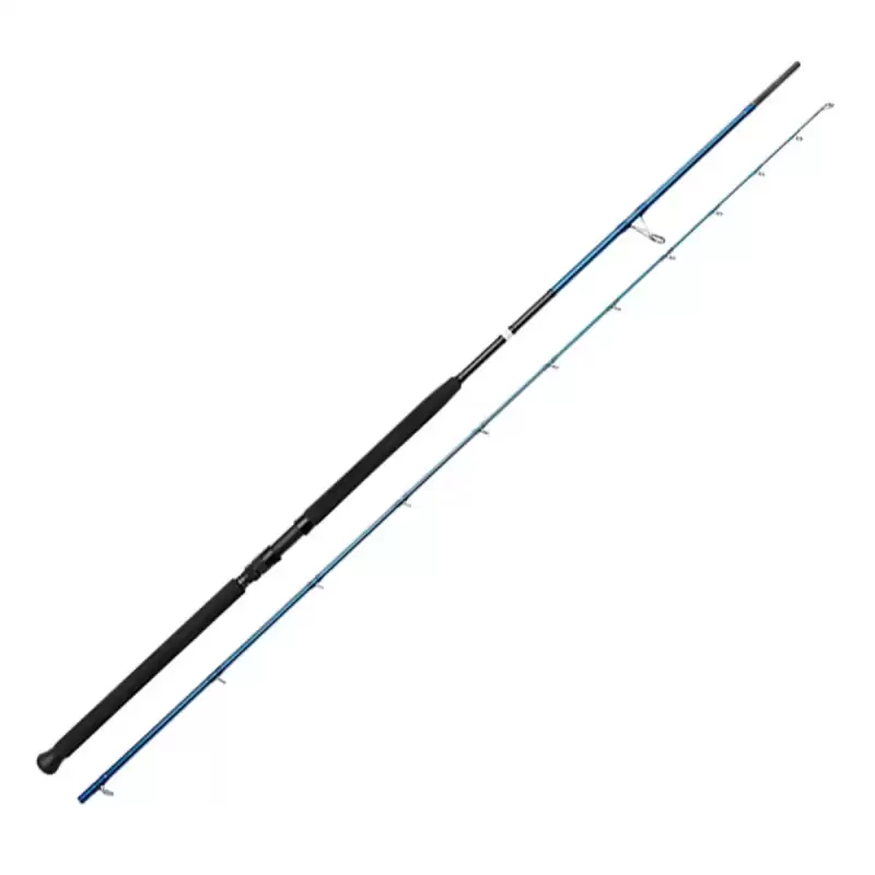Canna Savage Gear SGS2 SHORE JIGGING 3.05mt 60-150gr shore jigging